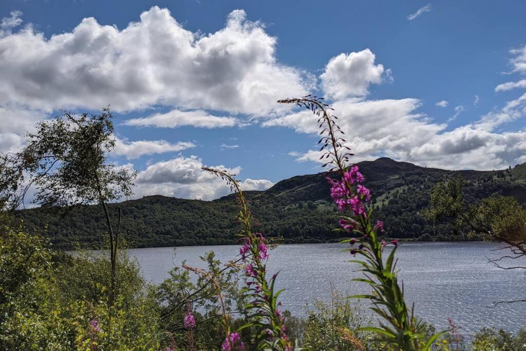 Rowan Cottage, Crannachcottages Garve Esterno foto