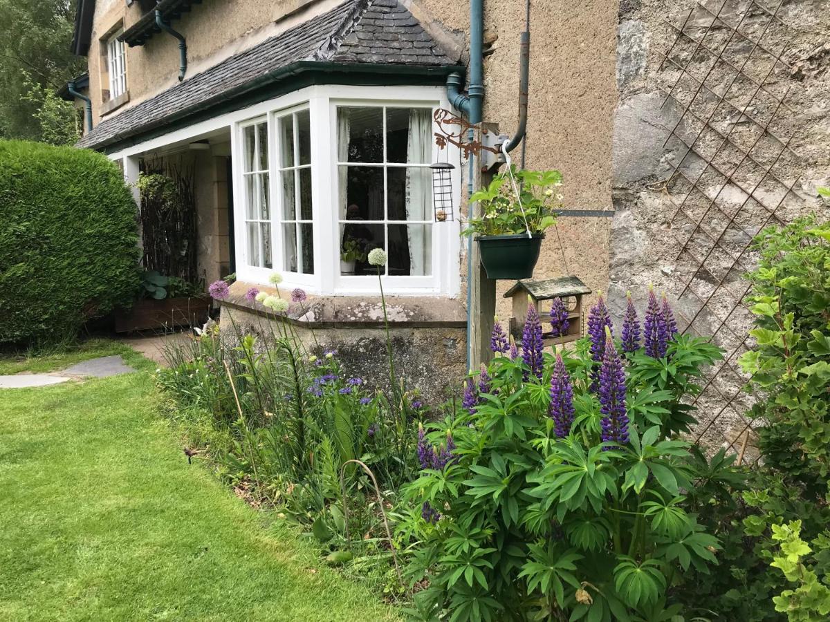 Rowan Cottage, Crannachcottages Garve Esterno foto