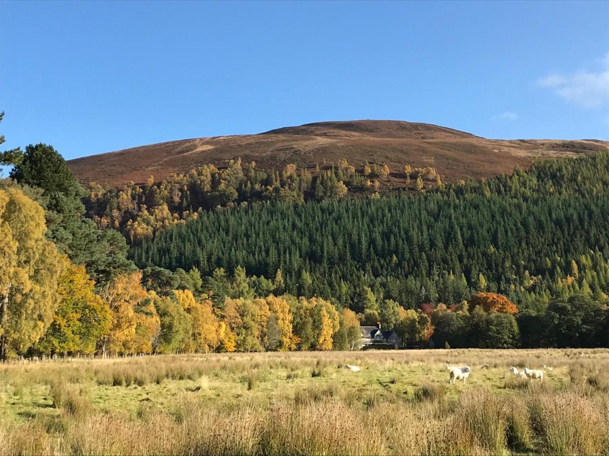 Rowan Cottage, Crannachcottages Garve Esterno foto