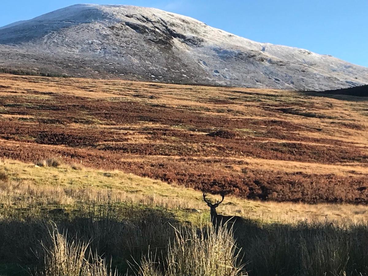 Rowan Cottage, Crannachcottages Garve Esterno foto